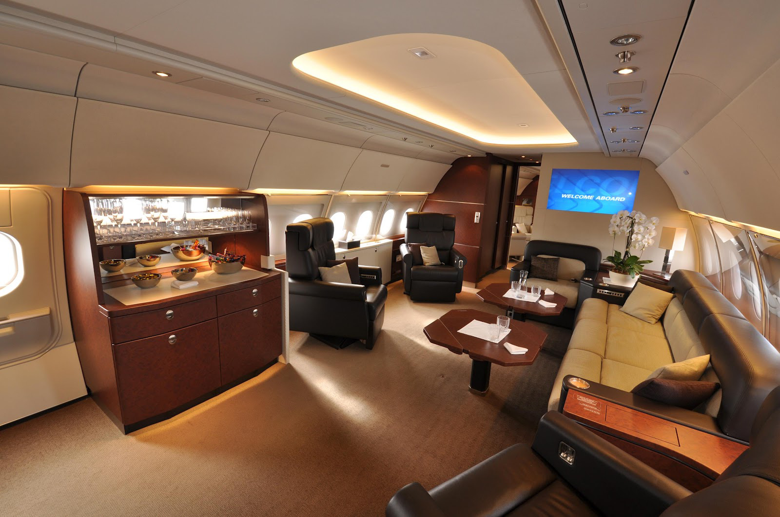 vijay-mallya-shifts-ownership-of-his-airbus-a319-private-jet-vt-vjm