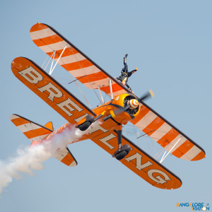 The Wing Walkers performing daring, some would say crazy aerobatics.
